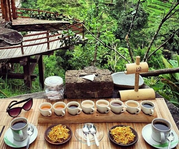 Bali Coffee Plantation