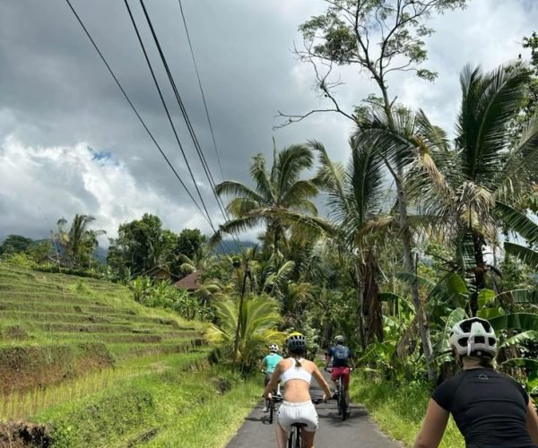 Cycling 1
