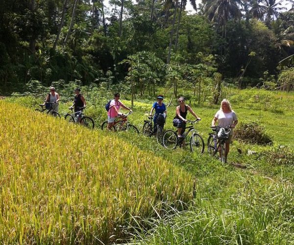 Cycling 5