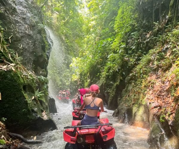atv ubud 12