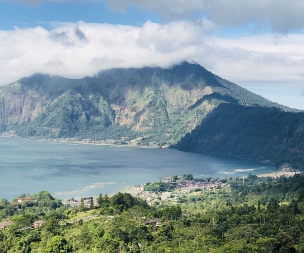 kintamani