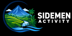 logo sidemen